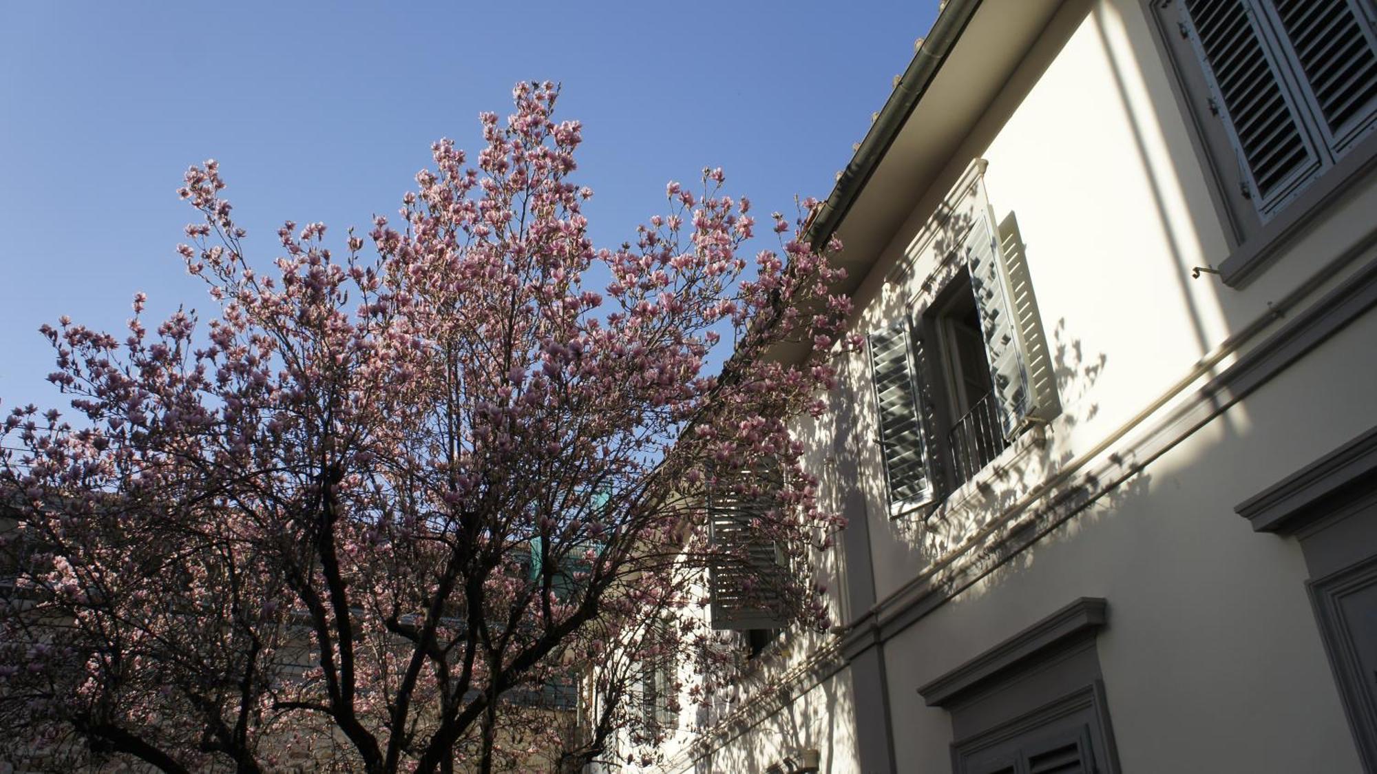Otello Suite - Brand New Flat Santa Maria Novella Florence Exterior photo